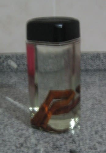 Sugestão para o Natal – Licor de canela